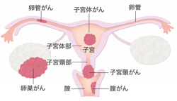 イメージイラスト